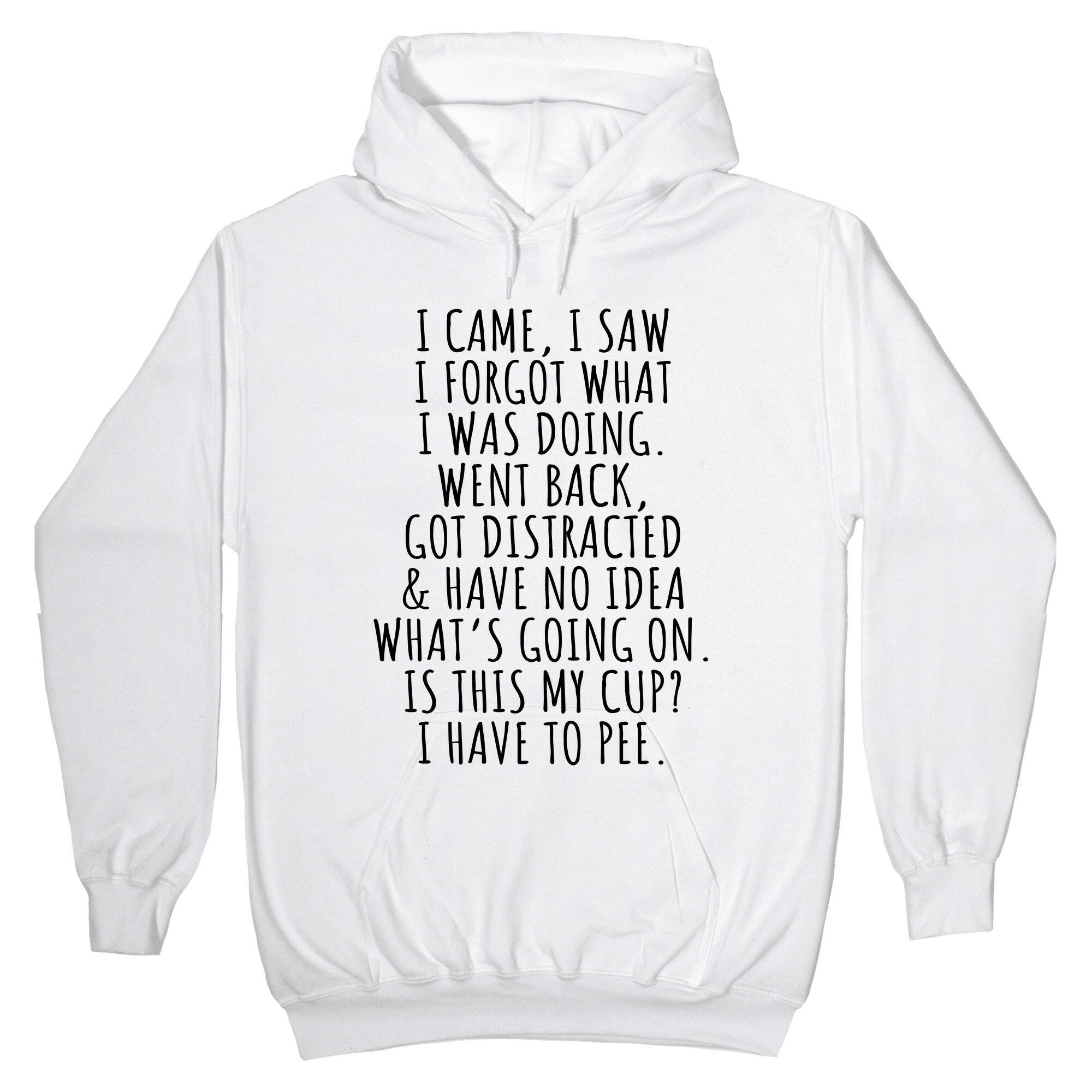 I Came I Saw I Forgot What I Was Doing Hoodie